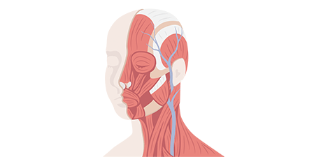 protokols_head